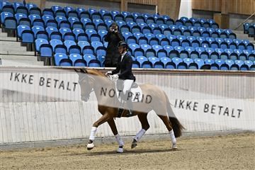182241_kbb_01_Z092949.JPG