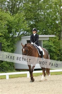 139835_sg_01_IMG_7804.JPG