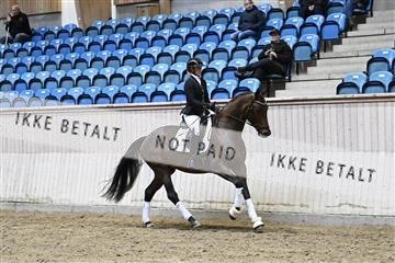 182241_kbb_01_Z094640.JPG