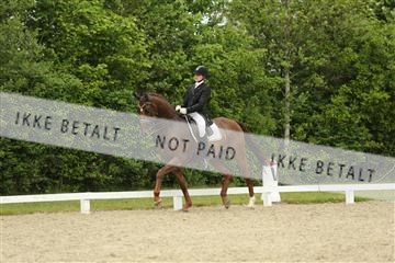 139835_sg_01_IMG_7287.JPG