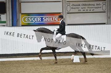 140040_abo_02__AB18573.JPG