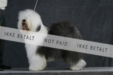 5493_sme _02__MG_9704.JPG