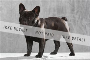 130054_le_ 01_0292.JPG