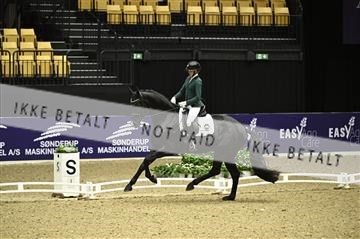 182194_kbb_01_Z095091.JPG