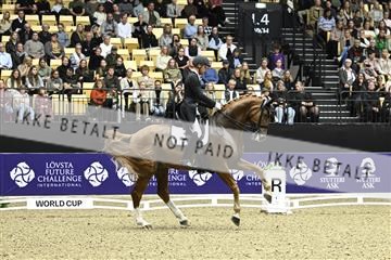 182194_kbb_03_Z092763.JPG