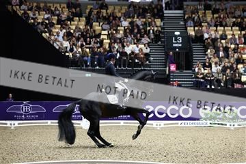 182194_avh_06_3250.JPG