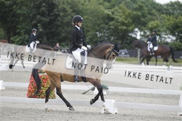 166078_rhj_01__J7R3873.JPG