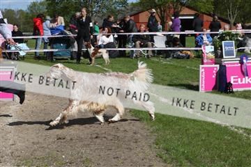 134871_ms_01_IMG_3998.JPG
