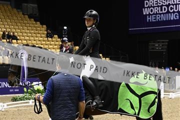 182194_kbb_03_Z090466.JPG