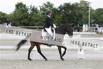 166078_rhj_01__J7R3514.JPG