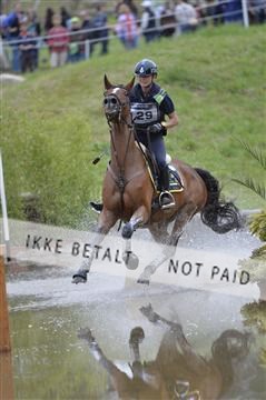 144462_bc_22__BC16612.JPG