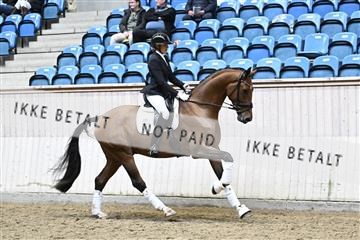 182241_kbb_01_Z095324.JPG