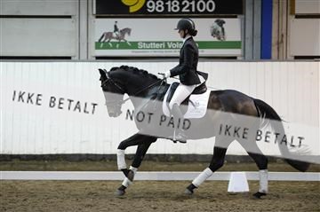 141472_abo_01__AB15703.JPG
