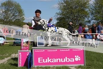 134871_ms_01_IMG_3957.JPG