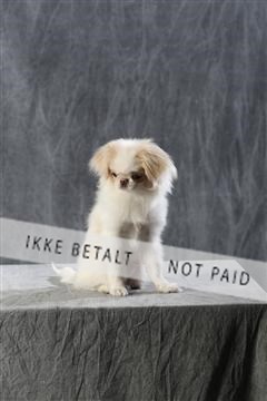 128239_le_kort_ 01_0104.JPG