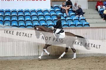 181887_mtp_02_R62_7827.JPG