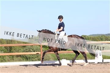 181449_bc_01R62_6246.JPG