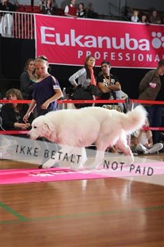 6068_ma_05_IMG_5665.JPG
