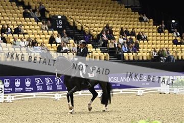 182194_kbb_03_Z090432.JPG