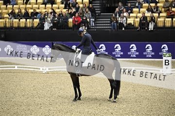 182194_kbb_02_Z098646.JPG