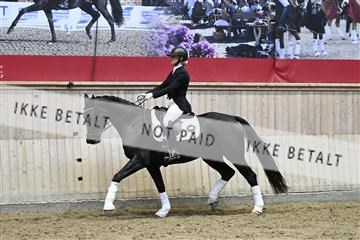 182241_kbb_01_Z093790.JPG