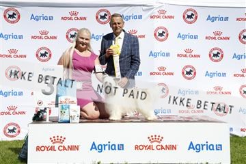 181564_ch_01__62_9852.JPG