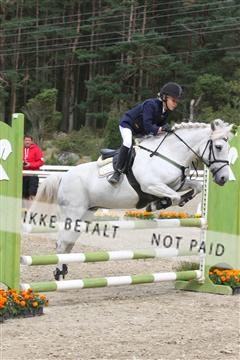 5350_sme _02_IMG_4458.JPG