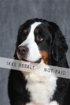 130054_le_ 03_0437.JPG