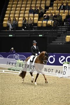 182194_kbb_01_Z096793.JPG