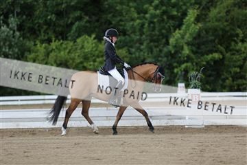156196_nn_01_IMG_5873.JPG