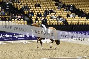 182194_kbb_03_Z090245.JPG