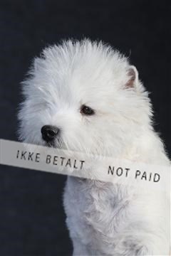 132082_le_ 01_IMG_0409.JPG