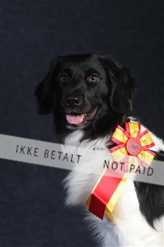 132082_le_ 01_IMG_0557.JPG