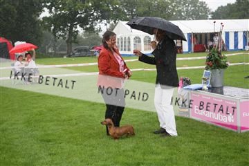 130370_le_02_IMG_8741.JPG