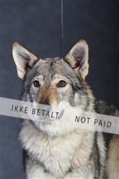 132082_le_ 01_IMG_0983.JPG