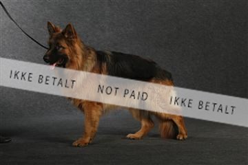 132082_le_ 01_IMG_0740.JPG