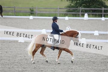 172030_mtp_01_3M5A1787.JPG