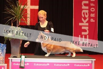 126827_tl_04_IMG_9892.JPG