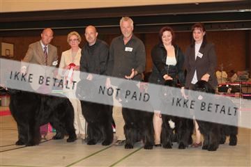 124188 _tl_02_IMG_9541.JPG