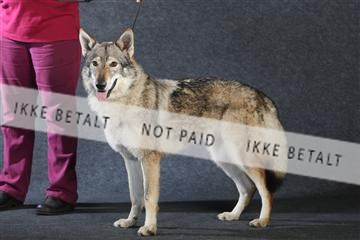 132082_le_ 01_IMG_0980.JPG