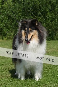 130370_se_02_IMG_5841.JPG