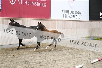 181754_kbb_01_Z092888.JPG