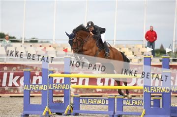 152762_nn _05_IMG_7745.JPG