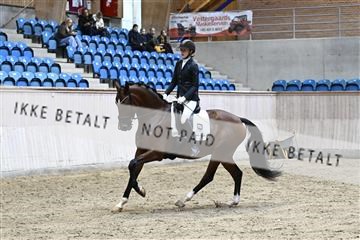 182241_kbb_01_Z093361.JPG