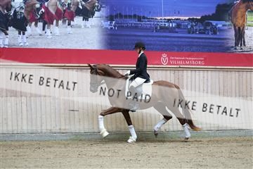 181887_mtp_04_R62_8292.JPG