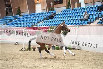 164516_kuo_01_D05_1825.JPG