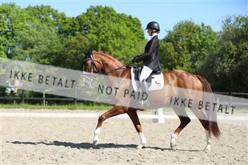 168732_mtp_01_3M5A8467.JPG