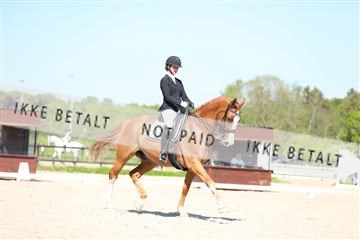 168732_mtp_01_3M5A8083.JPG