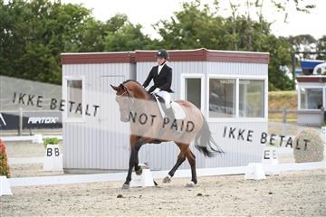 166078_kuo_02_D05_7759.JPG