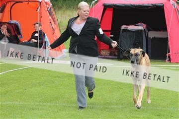 130370_tl_01_IMG_7016.JPG